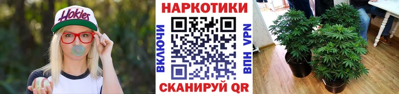 Цена Суздаль Амфетамин  Мефедрон  A-PVP  ГАШ  МАРИХУАНА 