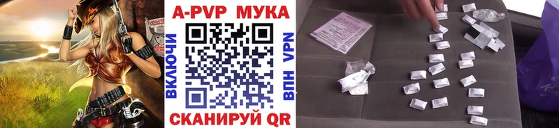 A PVP СК  Суздаль 