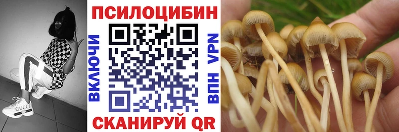 Галлюциногенные грибы MAGIC MUSHROOMS Суздаль